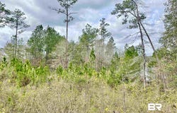 Lake Juniper Road, Brewton, AL 36426
