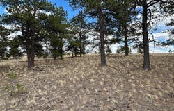 565 Brahma Circle, Hartsel, CO 80449