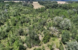 4951 Ione Rd., Pavo, GA 31778