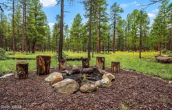 10 Acr, Greer, AZ 85927