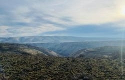 Bickleton Hwy, Bickleton, WA 99322