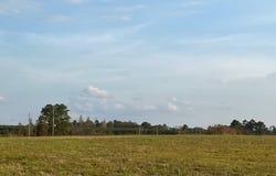 Pilcher Road, Many, LA 71449