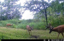 Hwy 159, Forest City, MO 64451