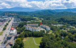 205 Ogle Drive, Pigeon Forge, TN 37863