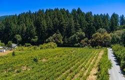 Carpenter Lane, Hoopa, CA 95546