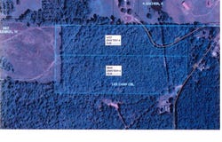 CR 4451, McLeod, TX 75555
