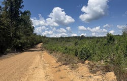 Country Road 428, PARIS, MS 38949