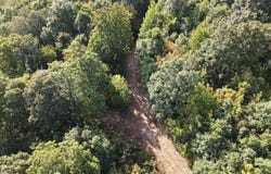 Mountain View, AR 72560