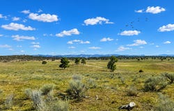 Chama W, Chama, NM 87520