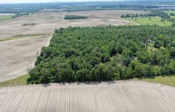 Vacant SE Camelot Way, Lee, FL 32059