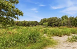319 Sunset Dr, Burnet, TX 78611