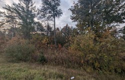 E Huron, Omer, MI 48749