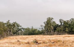 Nott Branch Rd lot: 35, Harper, TX 78631