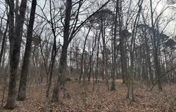 Edge Road, Clinton, AR 72031