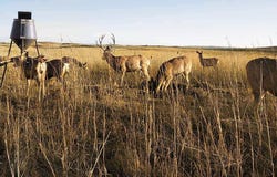 43105 Highway 91, Brewster, NE 68833