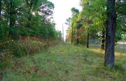 Tract A Hwy 371, Brainerd, MN 56401