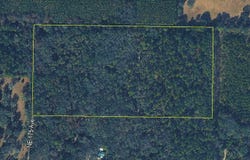 NE 175TH Avenue, WILLISTON, FL 32696