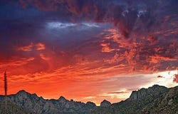 E162 E De Vaca Circle, St. David, AZ 85630