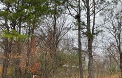 410 Orchard St., Williamsville, MO 63967