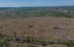 MEMORIAL Drive, Waycross, GA 31503