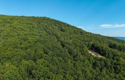 ROUNDHEAD MOUNTAIN RD, STANLEY, VA 22851