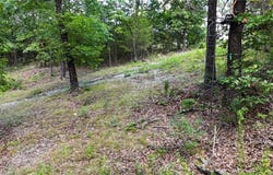 2953 Summer LOOP, Cedarville, AR 72932