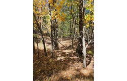 Seneca Road, Mount Pocono Boro, PA 18344