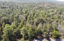 K Street, Danville, AR 72833