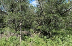 236 Mokulua Ln, Bastrop, TX 78602