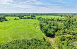 Fleming Logging Road, Hinckley, MN 55037