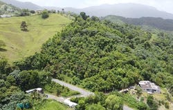 Peña Pobre, Naguabo, PR 00718