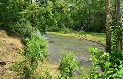 ROCKFISH RIVER RD, SCHUYLER, VA 22969