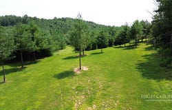 Greenview Drive, Jefferson, NC 28640