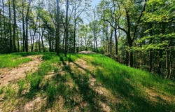 Leaf Ridge, Clintwood, VA 24228