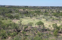 501 County Road 376, Cisco, TX 76437