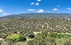 18 Larry Lane, Cedar Crest, NM 87008