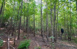 638 Riverside Drive, Hamilton, AL 35570