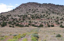 Tract 43 Wapiti Ridge Road, Del Norte, CO 81132