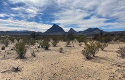 TR:604C LTM Rd, Terlingua, TX 79852