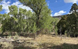 29622 State Highway 17, Antonito, CO 81120