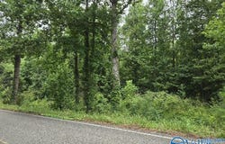 36 Acres Clairmont Springs Road, Lineville, AL 36266