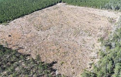 kansas, Gurdon, AR 71743