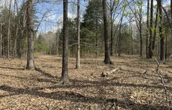 Milligan Campground Road, Strawberry, AR 72469