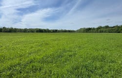 50 State Rd. W, Elkland, MO 65644