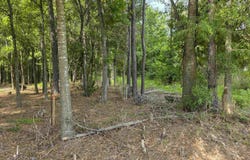 100 Block CR 853, Evadale, TX 77612