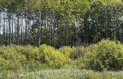 On Holmes Road, Ashland, WI 54806