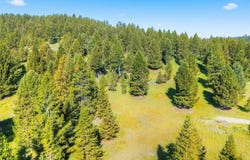 Colters Run, Big Sky, MT 59730
