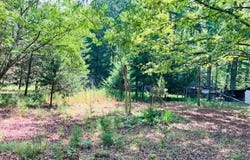 3599 Skipwith Rd, Boydton, VA 23917