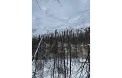 Spring Run Rd, Butler, PA 16001