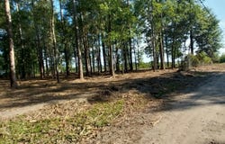 5540 York Rd, Marion, SC 29571